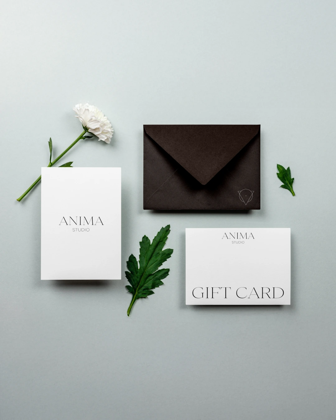 Anima Studio - Caso studio di Branding by SocialBee