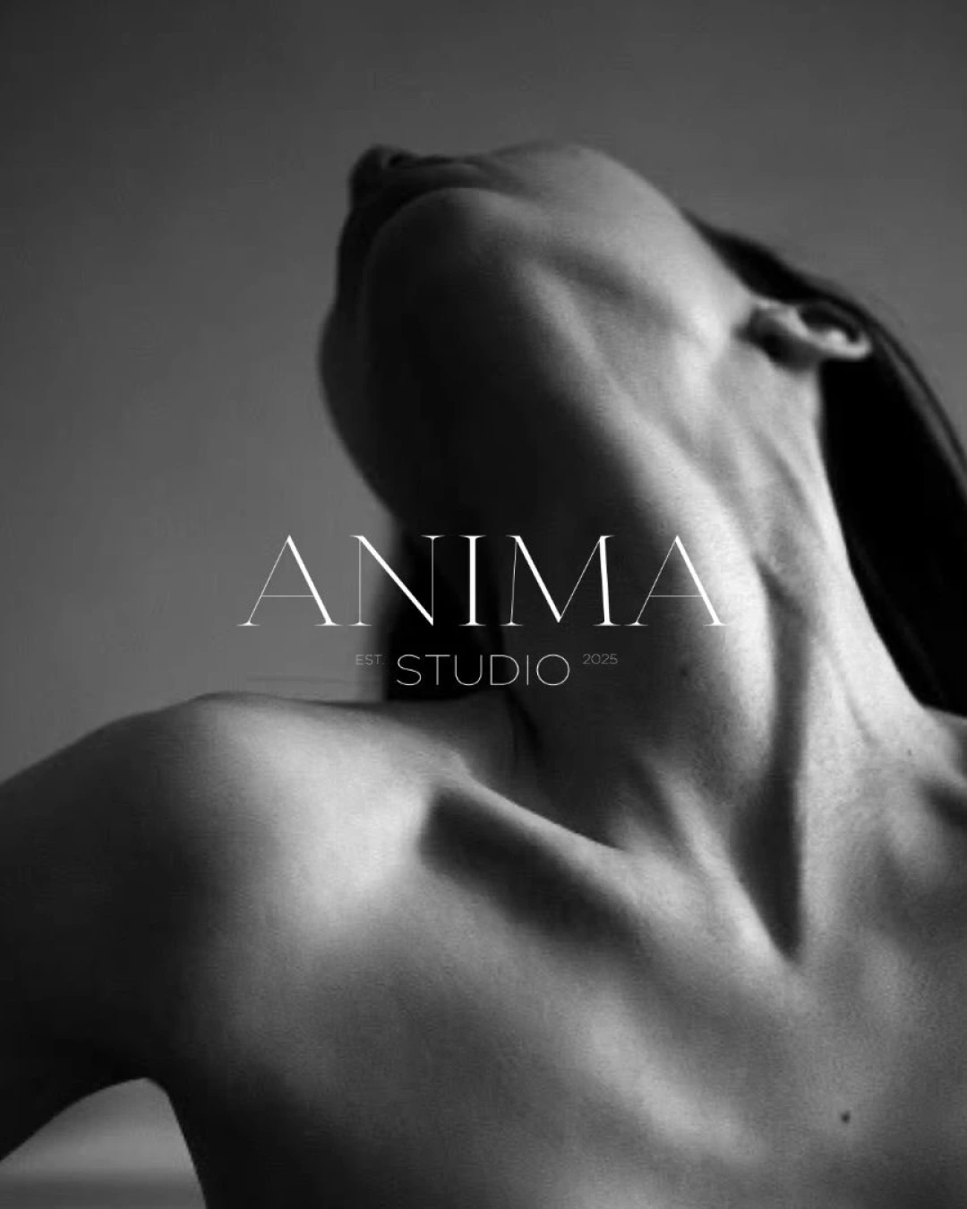Anima Studio - Caso studio di Branding by SocialBee