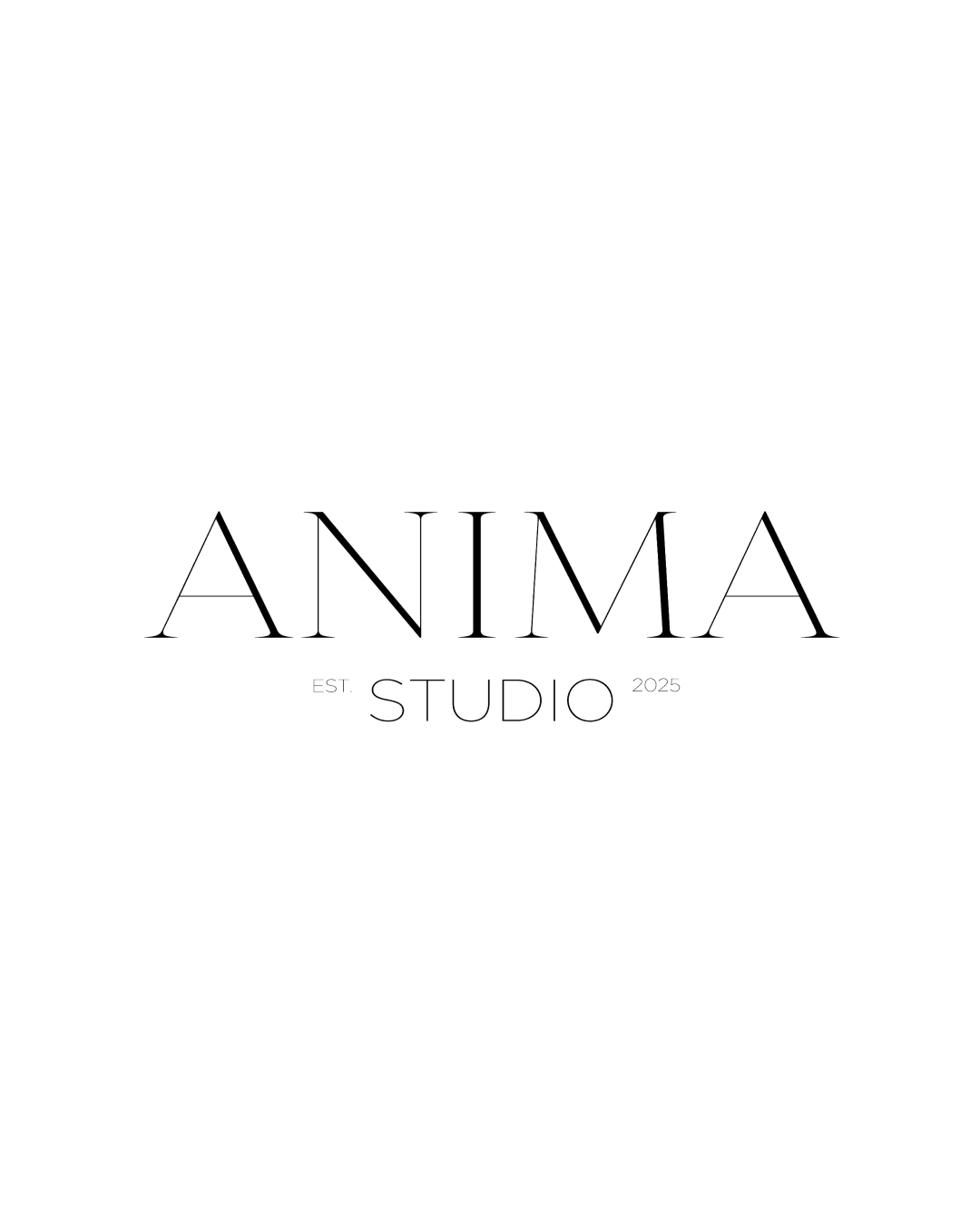 Anima Studio - Caso studio di Branding by SocialBee