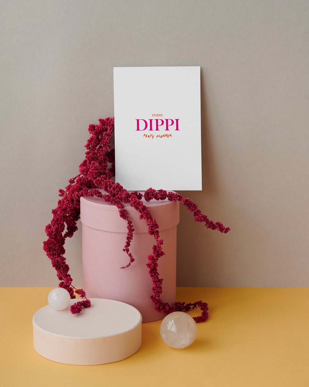 STUDIO DIPPI - Case Study by SocialBee